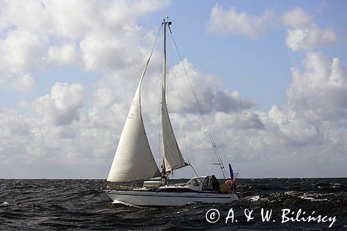 jacht s/y Bagheera