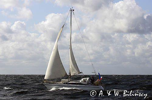 jacht s/y Bagheera