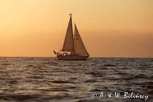 jacht s/y Bagheera