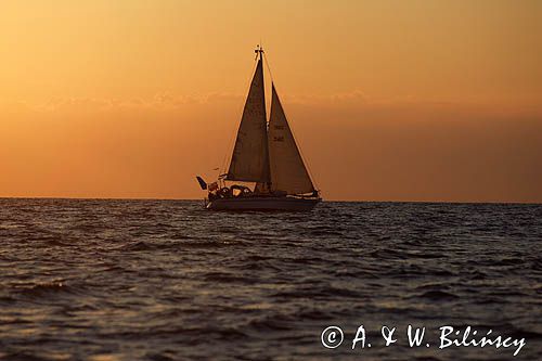 jacht s/y Bagheera