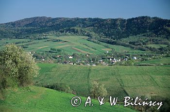 Baligród panorama