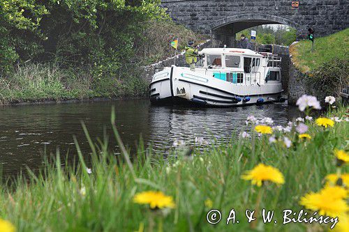 Ballinamore & Ballyconnell canal, śluza 10, Irlandia