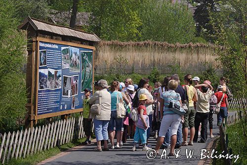 Bałtów, JURAPark, Dino-park