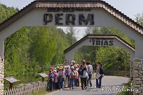 Bałtów, JURAPark, Dino-park