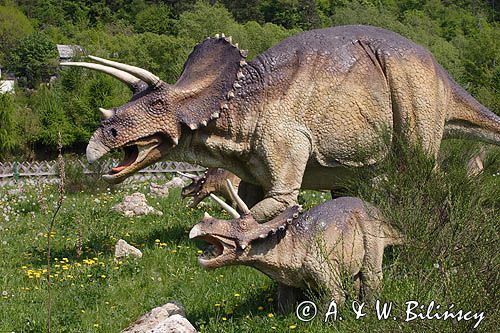 Bałtów, JURAPark, Dino-park