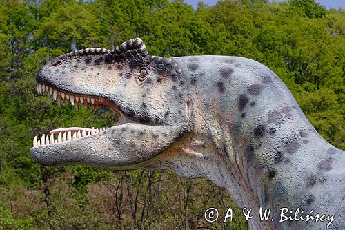 Bałtów, JURAPark, Dino-park