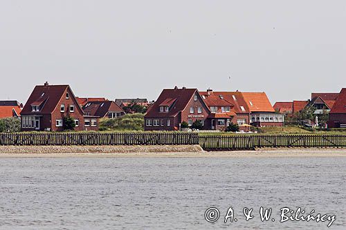 wyspa Baltrum, Wyspy Wschodnio-Fryzyjskie, Waddenzee, Niemcy, Morze Wattowe