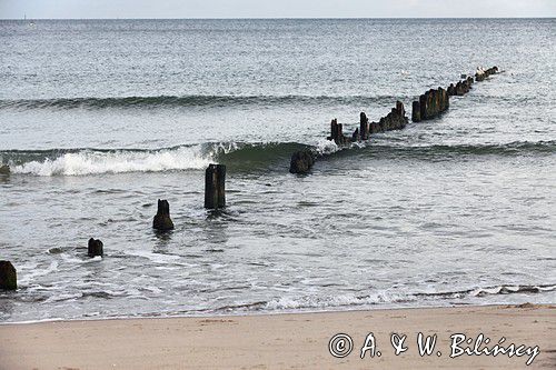 plaża, Zatoka Gdańska, Bałtyk