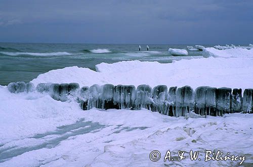 zima nad Bałtykiem Nadmorski Park Krajobrazowy