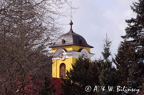 Bardejovské Kúpele, pl. Bardejowskie Kupele lub Bardiowskie Kupele, węg. Bártfafürdő, niem. Bad Bartfeld, uzdrowisko na Słowacji, Słowacja