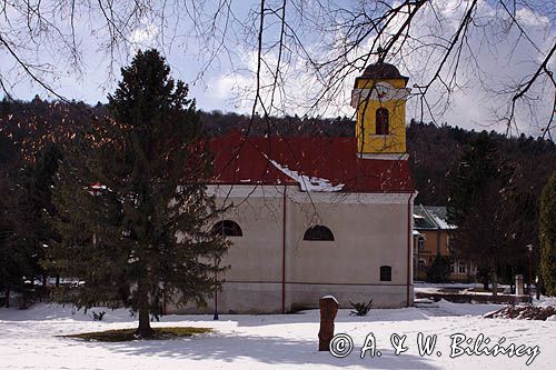 Bardejovské Kúpele, pl. Bardejowskie Kupele lub Bardiowskie Kupele, węg. Bártfafürdő, niem. Bad Bartfeld, uzdrowisko na Słowacji, Słowacja