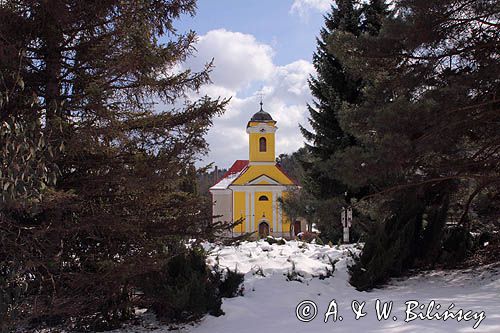 Bardejovské Kúpele, pl. Bardejowskie Kupele lub Bardiowskie Kupele, węg. Bártfafürdő, niem. Bad Bartfeld, uzdrowisko na Słowacji, Słowacja