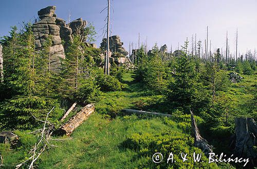 Bażynowe Skały Karkonoski Park Narodowy