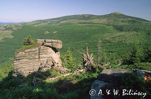 panorama karkonoszy, Bażynowe Skały, Karkonoski Park Narodowy