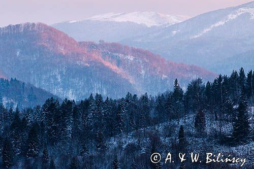 Widok z Chmiela, Bieszczady