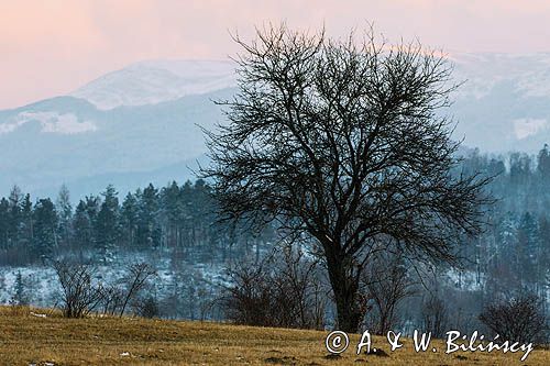 Widok z Chmiela, Bieszczady