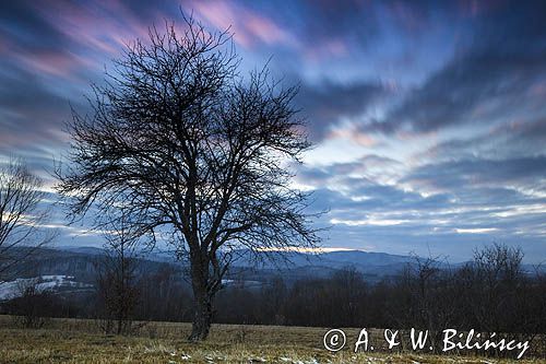 Widok z Chmiela, Bieszczady Dniem i Nocą, Bieszczady