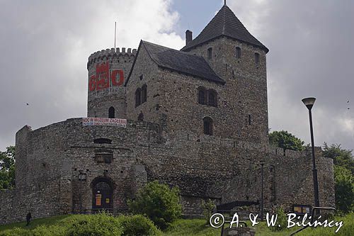 Będzin, zamek królewski, Górny Śląsk