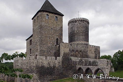 Będzin, zamek królewski, Górny Śląsk