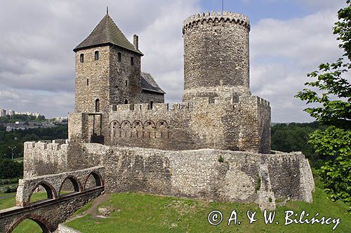 Będzin, zamek królewski, Górny Śląsk