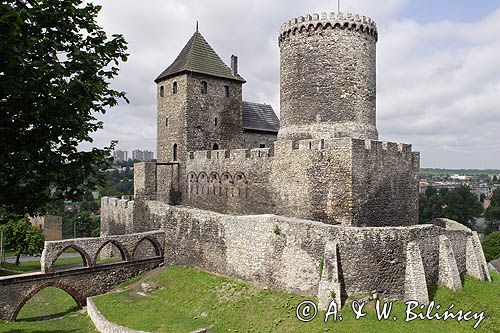 Będzin, zamek królewski, Górny Śląsk