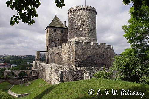 Będzin, zamek królewski, Górny Śląsk