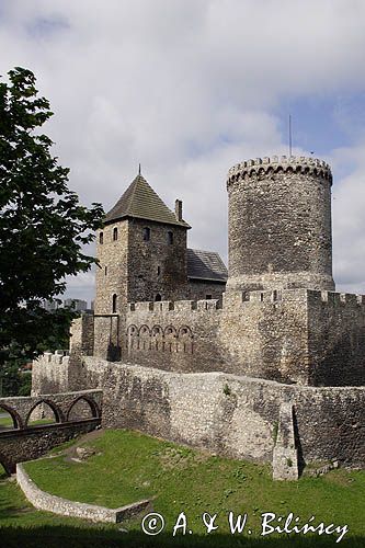 Będzin, zamek królewski, Górny Śląsk