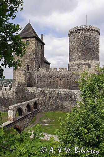 Będzin, zamek królewski, Górny Śląsk