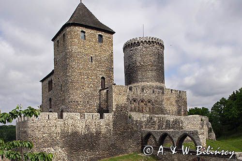 Będzin, zamek królewski, Górny Śląsk