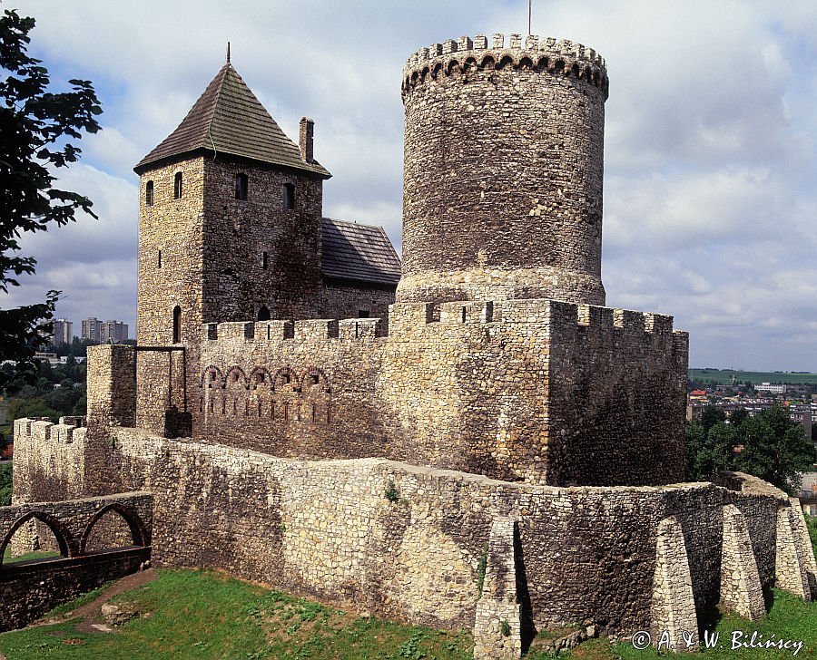 Będzin, zamek królewski, Śląsk