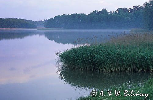 Jezioro Bełdany, świt