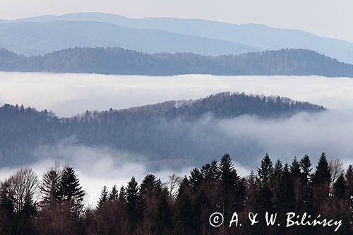 widok z Jaworników na Besidę, Ostre i Otryt, Bieszczady