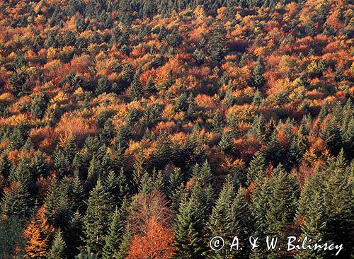 Beskid Niski, Jesień w Beskidzie Niskim, Czerteż