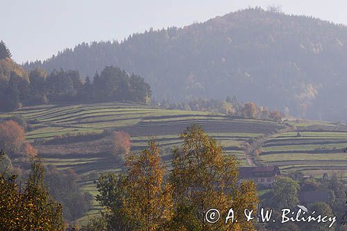 Beskid Makowski. pola, lasy, góry, droga