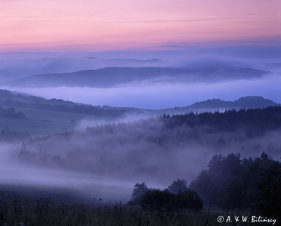 Beskid Niski Polany Surowiczne widok z Ruskiej Góry