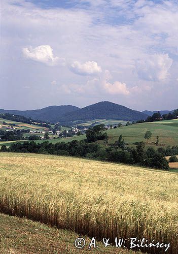 Beskid Niski