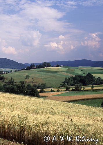 Beskid Niski