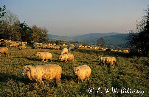 Beskid Niski