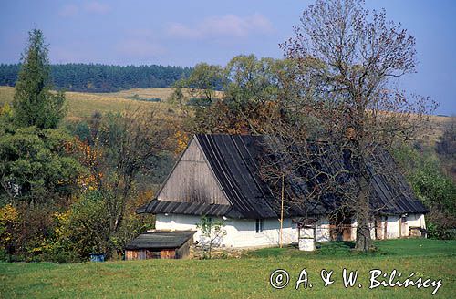 W Beskidzie Niskim, Polska