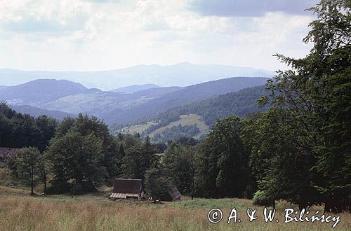 Beskid Sądecki