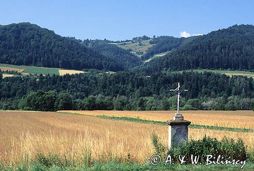 Beskid Sądecki krzyż przydrożny, pole