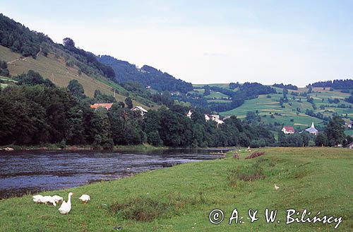 Beskid Sądecki, dolina Popradu