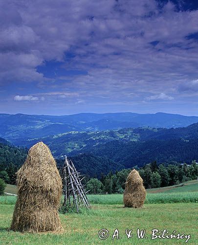 Beskid Sądecki, widok z Obidzy na Pasmo Jaworzyny