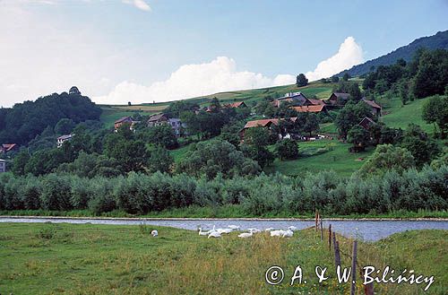 Beskid Sądecki nad Popradem