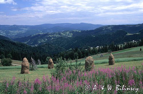 Beskid Sądecki na Obidzy