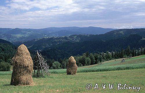 Beskid Sądecki na Obidzy