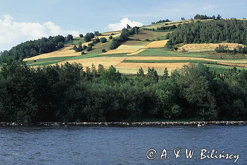 Beskid Sądecki nad Popradem