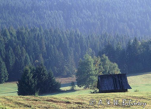 Beskid Sądecki szałas pasterski