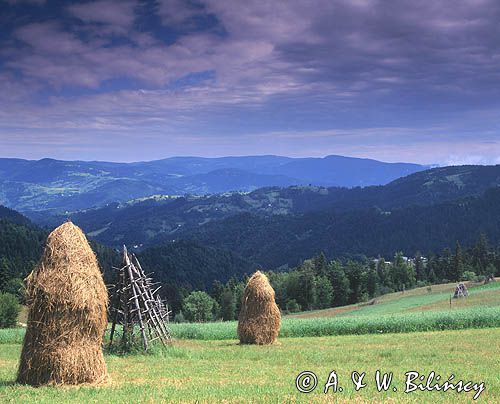 Beskid Sądecki, Na Obidzy, widok na Pasmo Jaworzyny