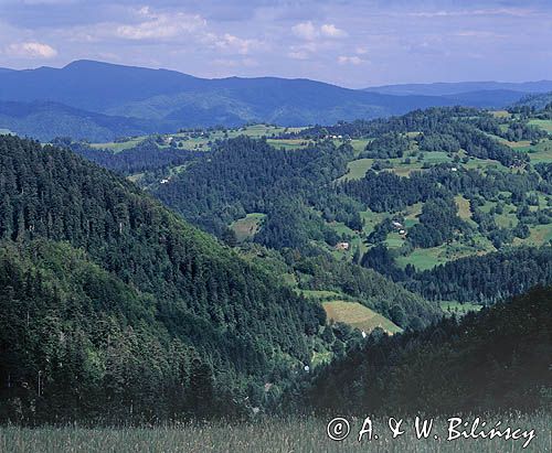 Beskid Sądecki, Widok z Bukowca na Kosarzyska i Pasmo Jaworzyny